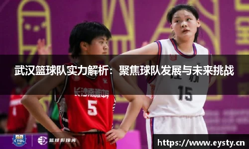 武汉篮球队实力解析：聚焦球队发展与未来挑战